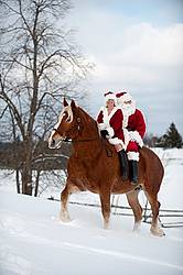 Santa Claus and Mrs. Claus riding double on a Belgian draft horse