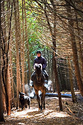 Woman horseback riding in cedar forest in dramatic light