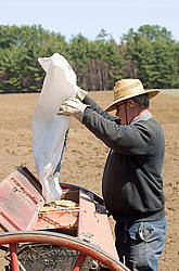 Farmer filling seed drill with oats.