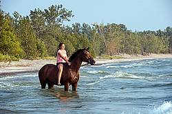 Young woman horseback riding in Lake Ontario