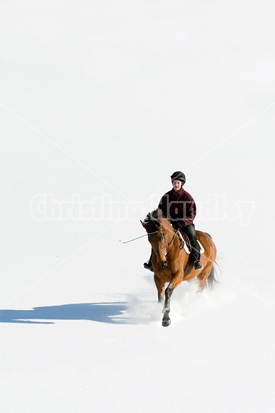 Woman riding bay horse through the deep snow