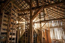 Sunlight streaming through barn boards into hayloft