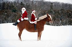 Santa Claus and Mrs. Claus riding double on a Belgian draft horse
