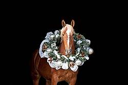Belgian draft horse with a Christmas wreath over its head.
